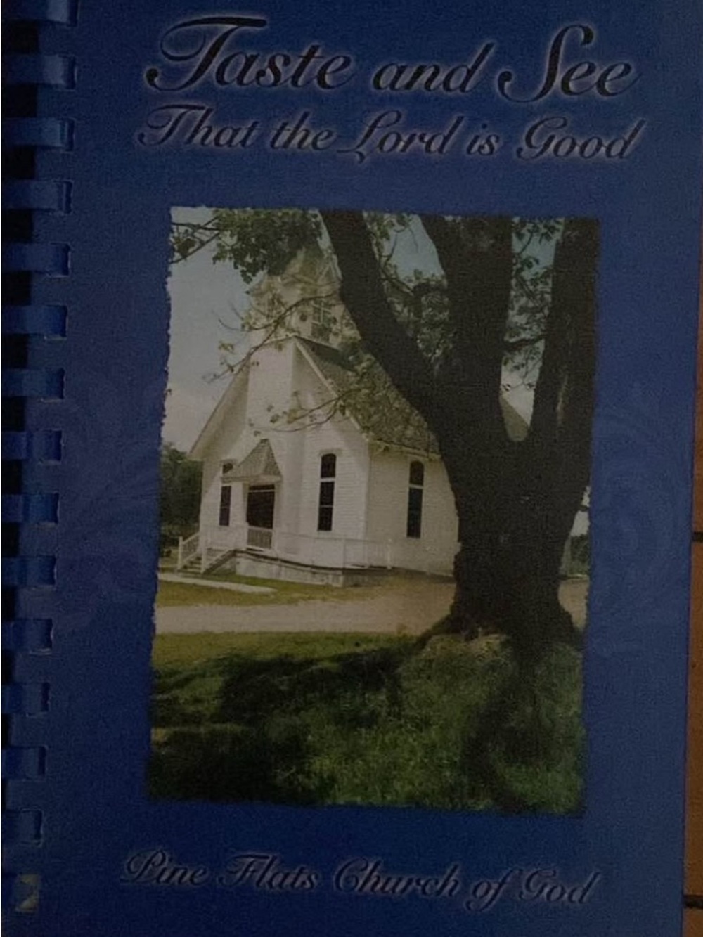 Vintage Spiral church cookbook Pine Flats Church of God Clymer Pennsylvania PA